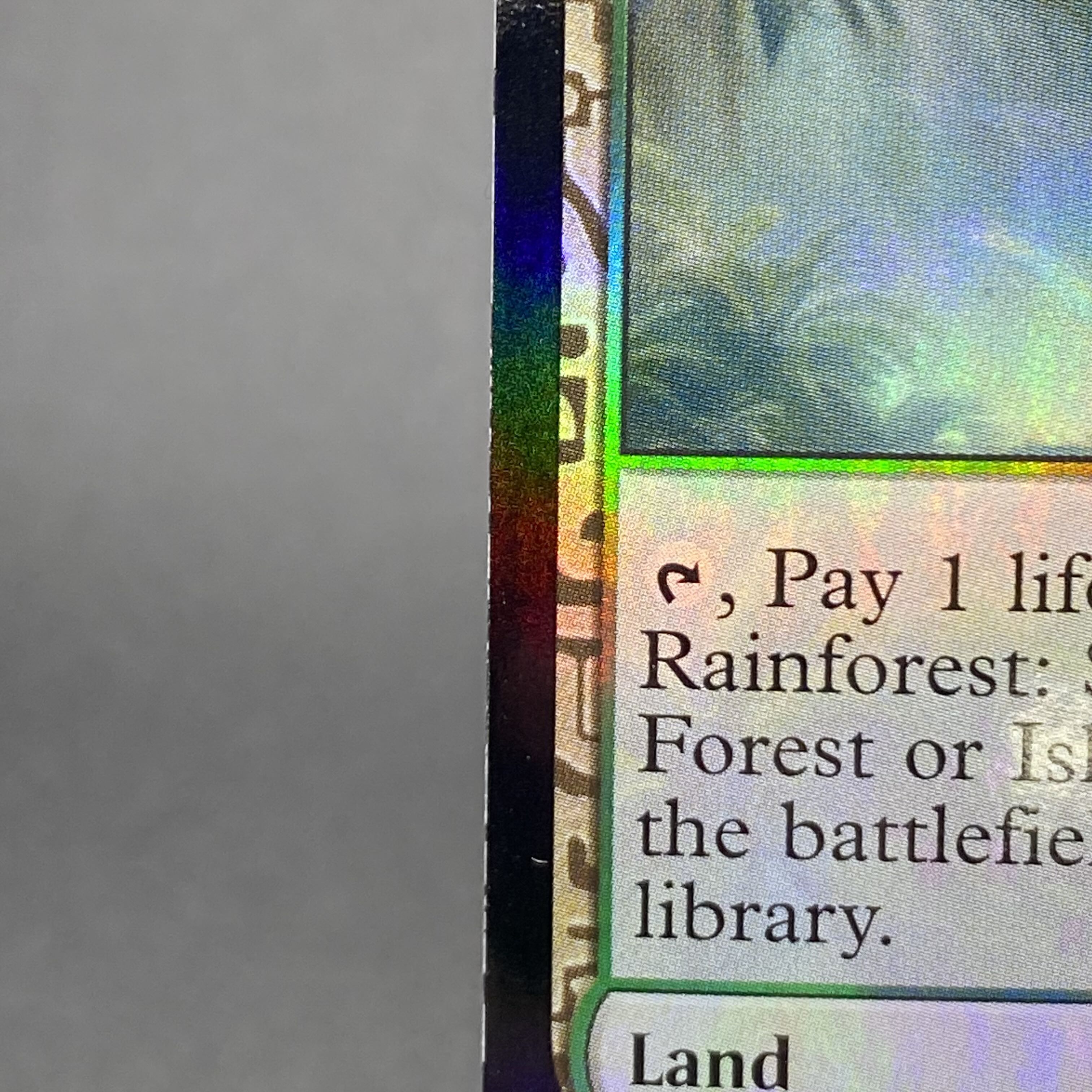 Misty Rainforest/misty Rainforest EN F EXP