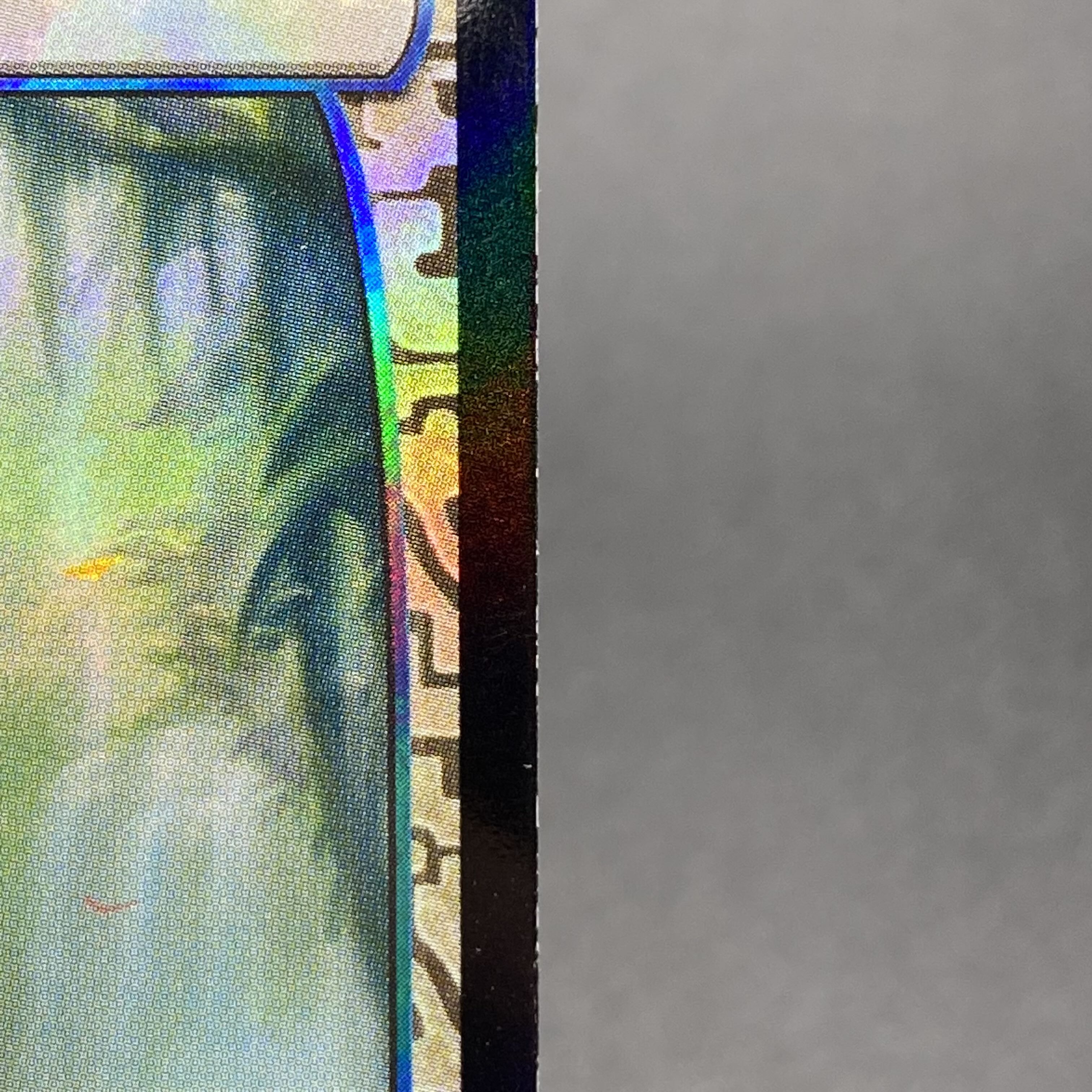 Misty Rainforest/misty Rainforest EN F EXP