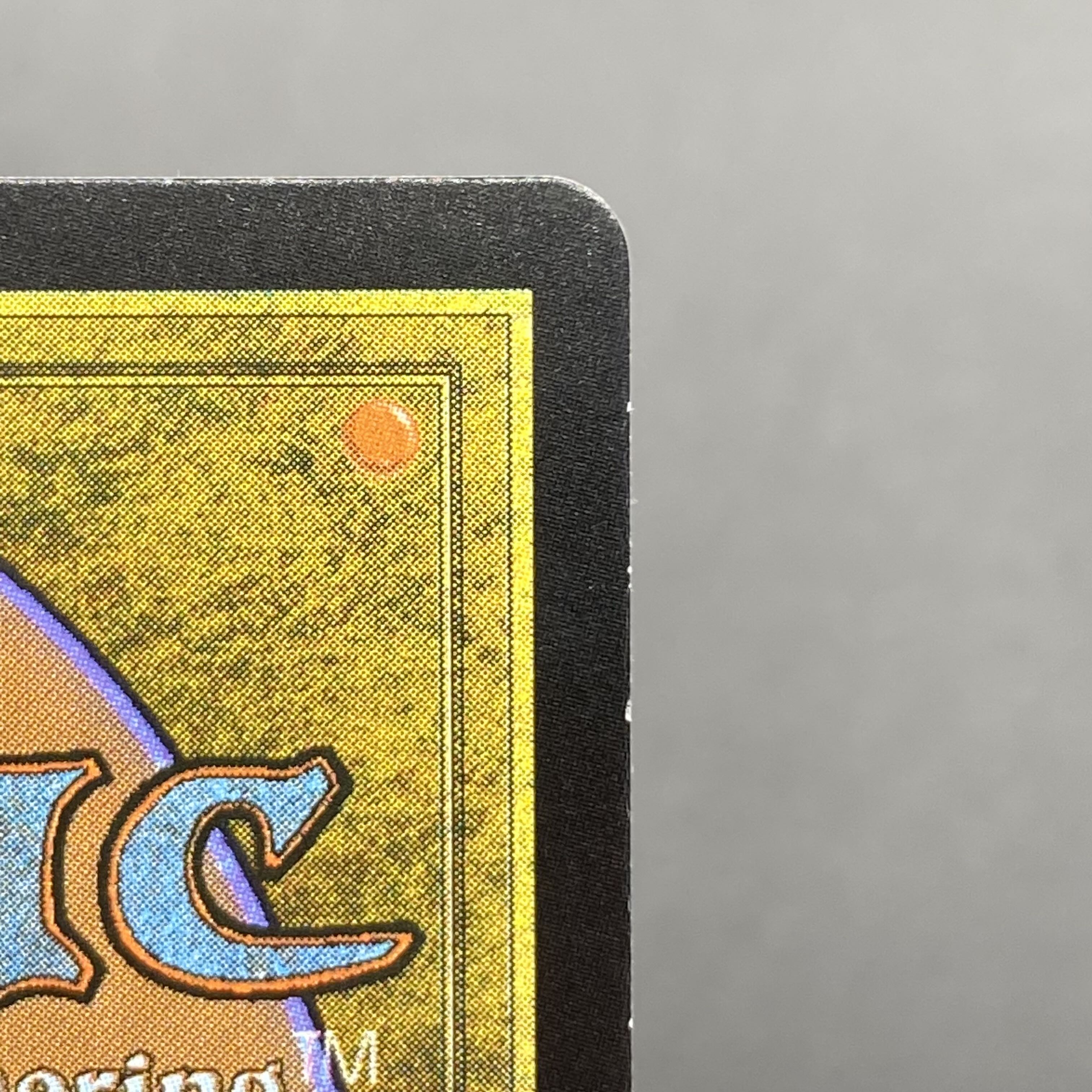 Misty Rainforest/misty Rainforest EN F EXP