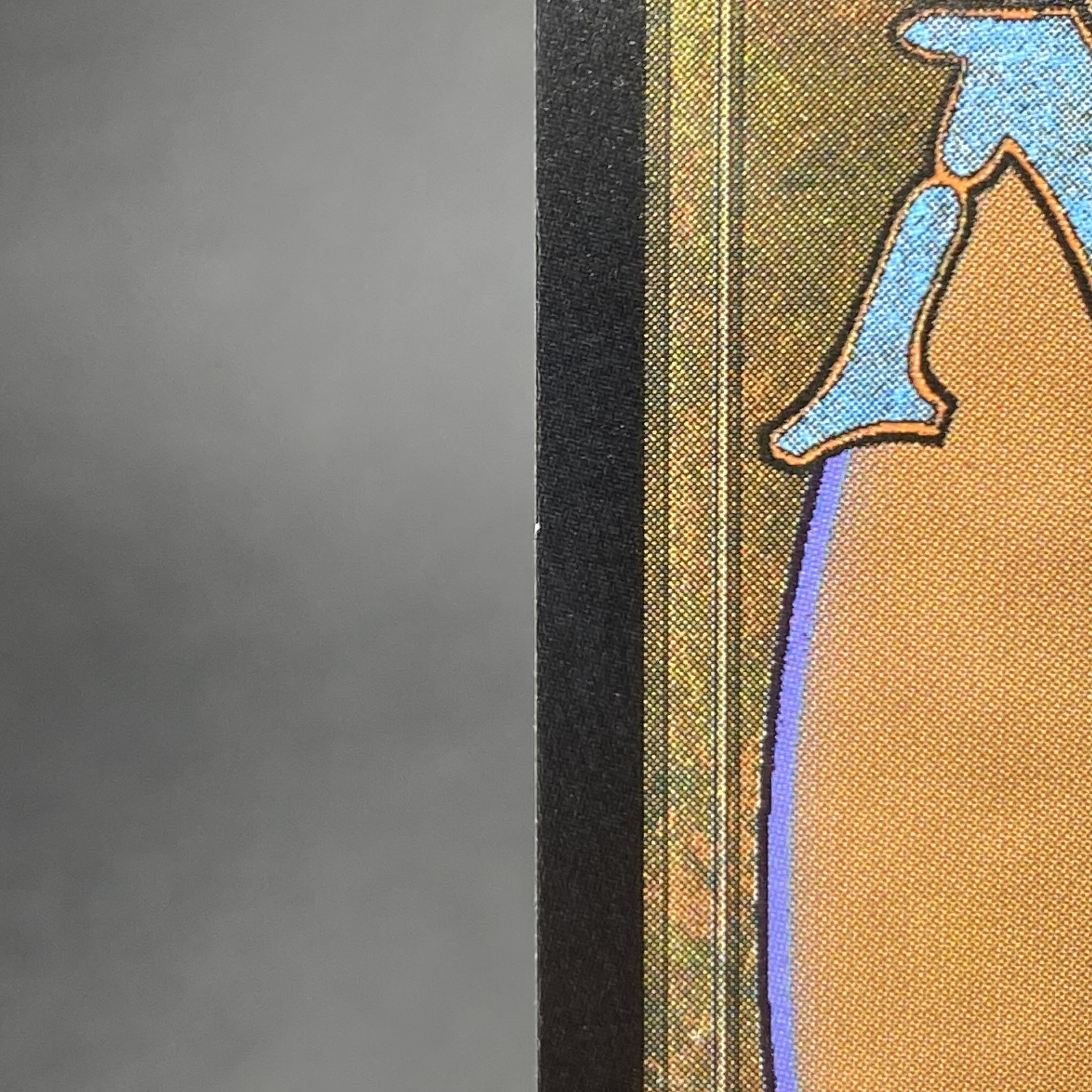 Misty Rainforest/misty Rainforest EN F EXP