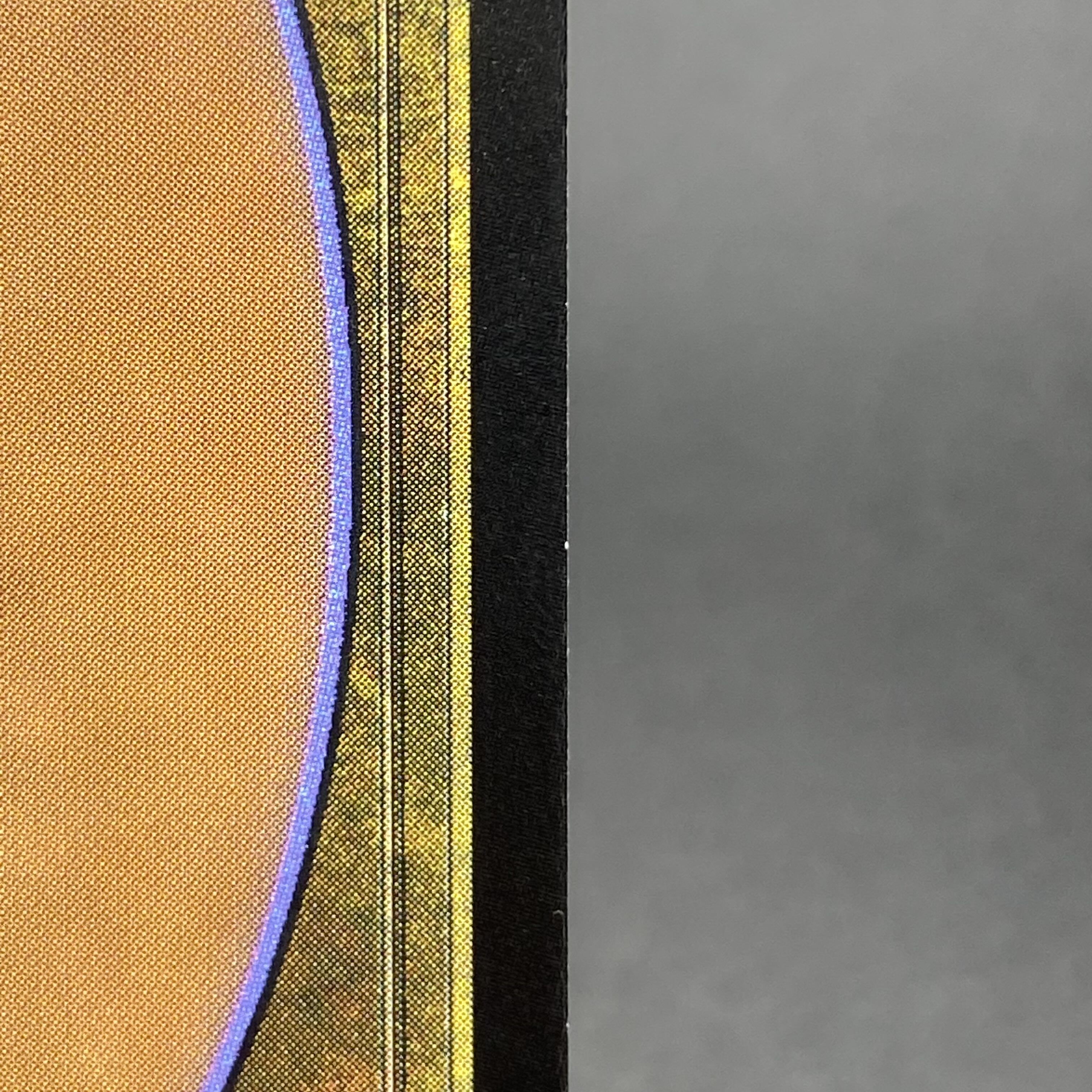 Misty Rainforest/misty Rainforest EN F EXP