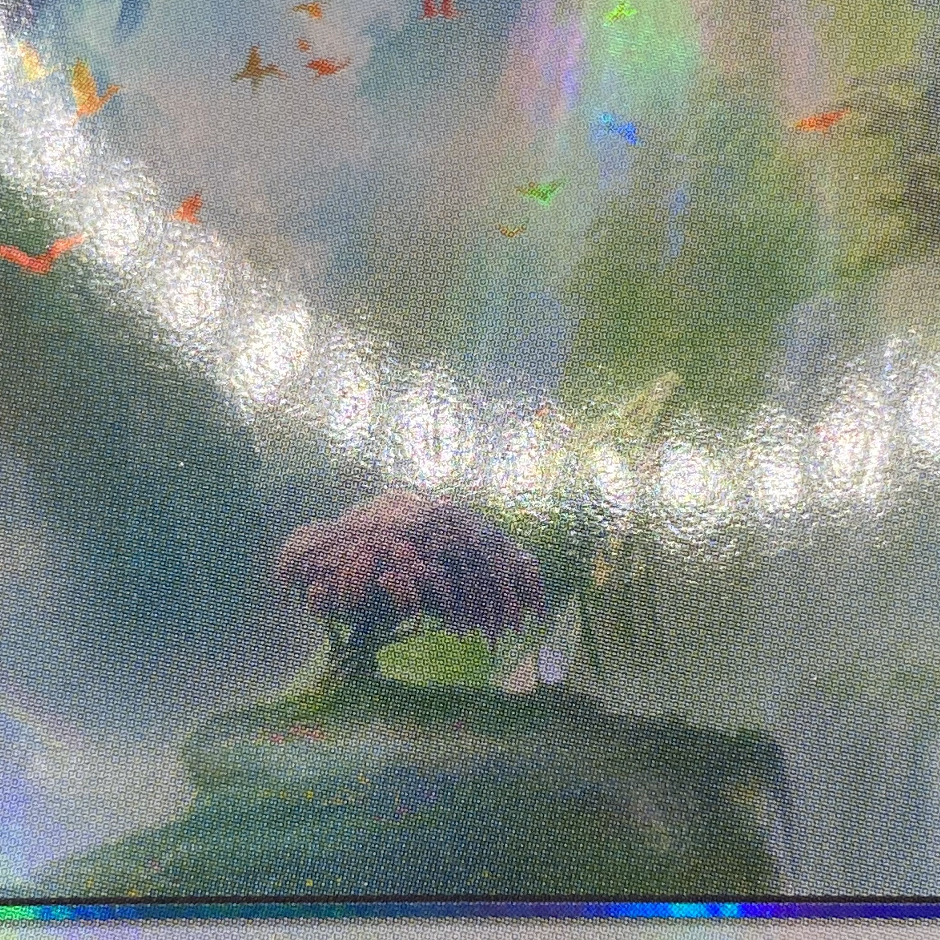 Misty Rainforest/misty Rainforest EN F EXP