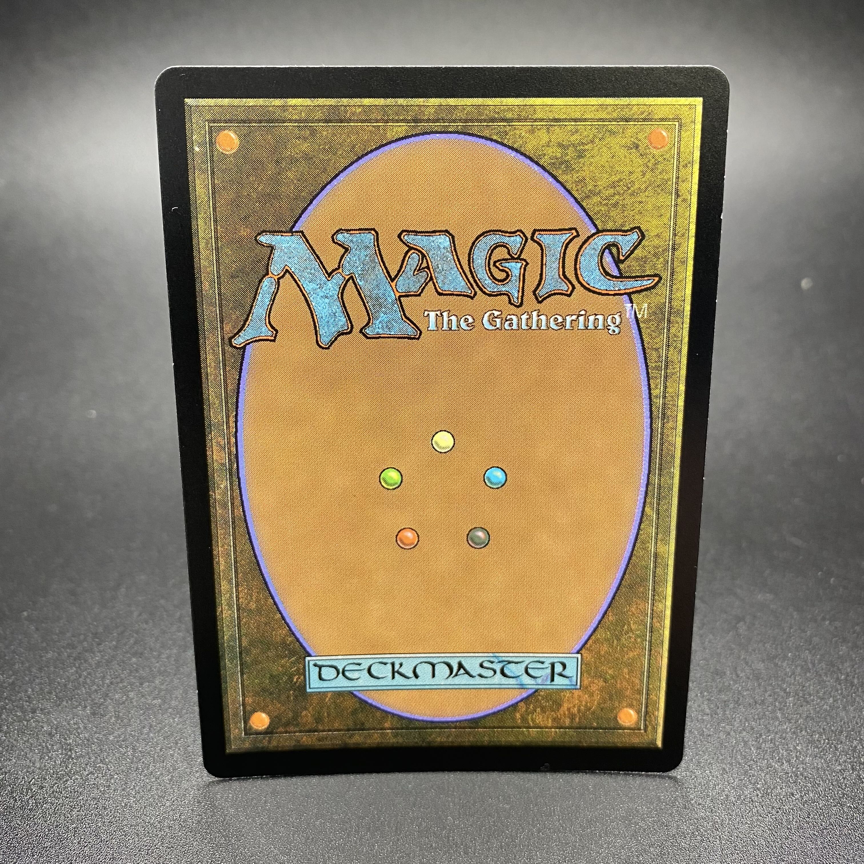 Misty Rainforest/misty Rainforest EN F EXP