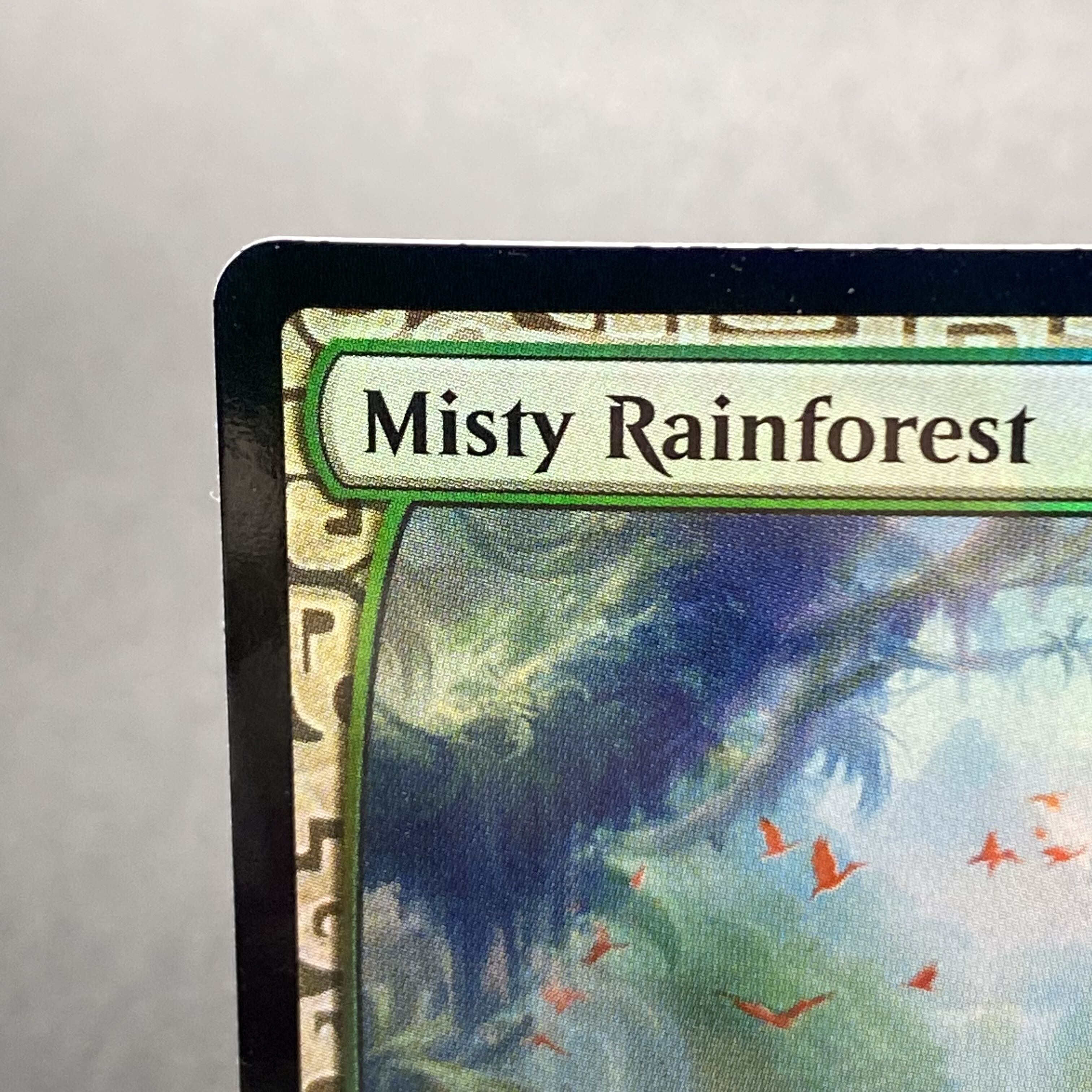 Misty Rainforest/misty Rainforest EN F EXP