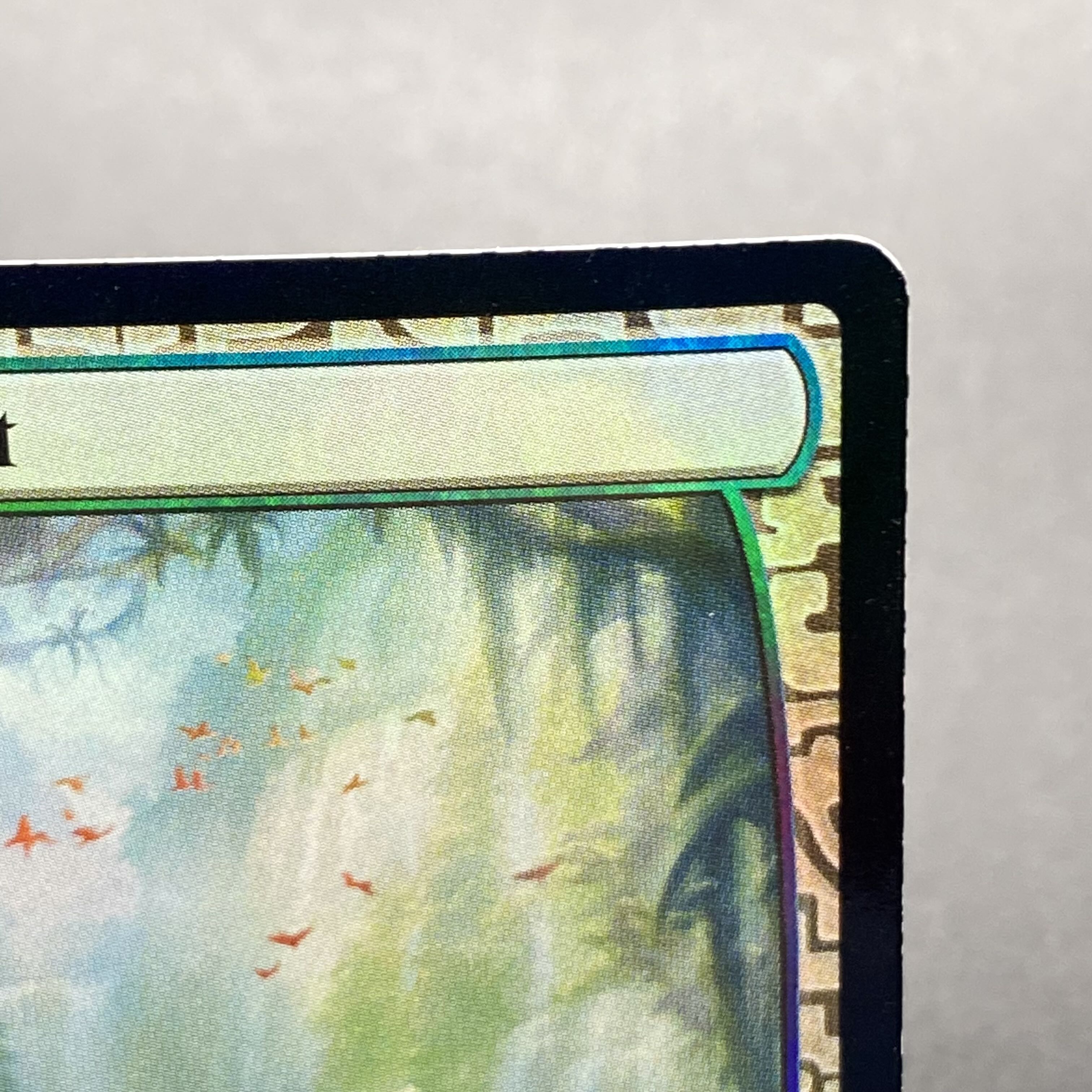 Misty Rainforest/misty Rainforest EN F EXP