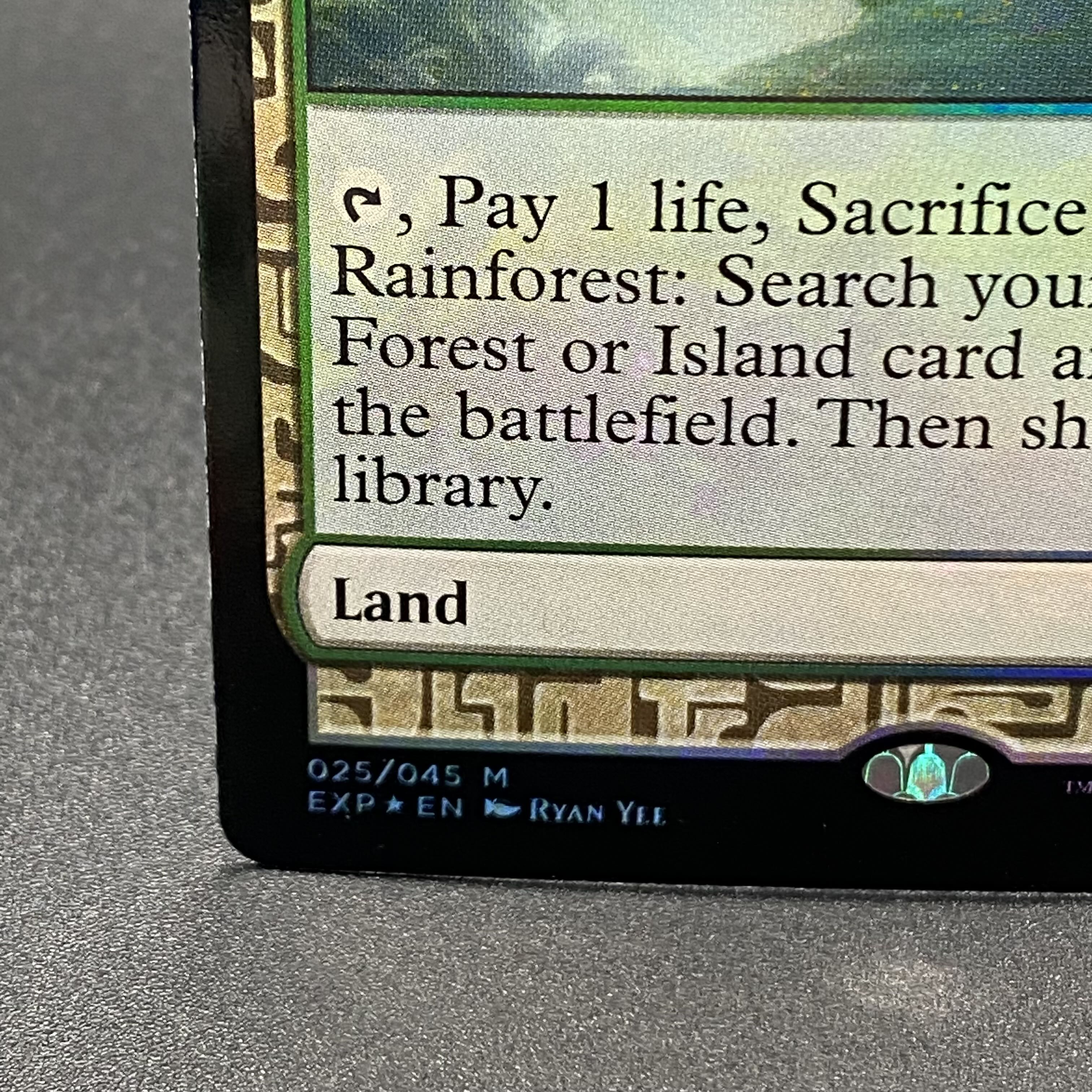 Misty Rainforest/misty Rainforest EN F EXP