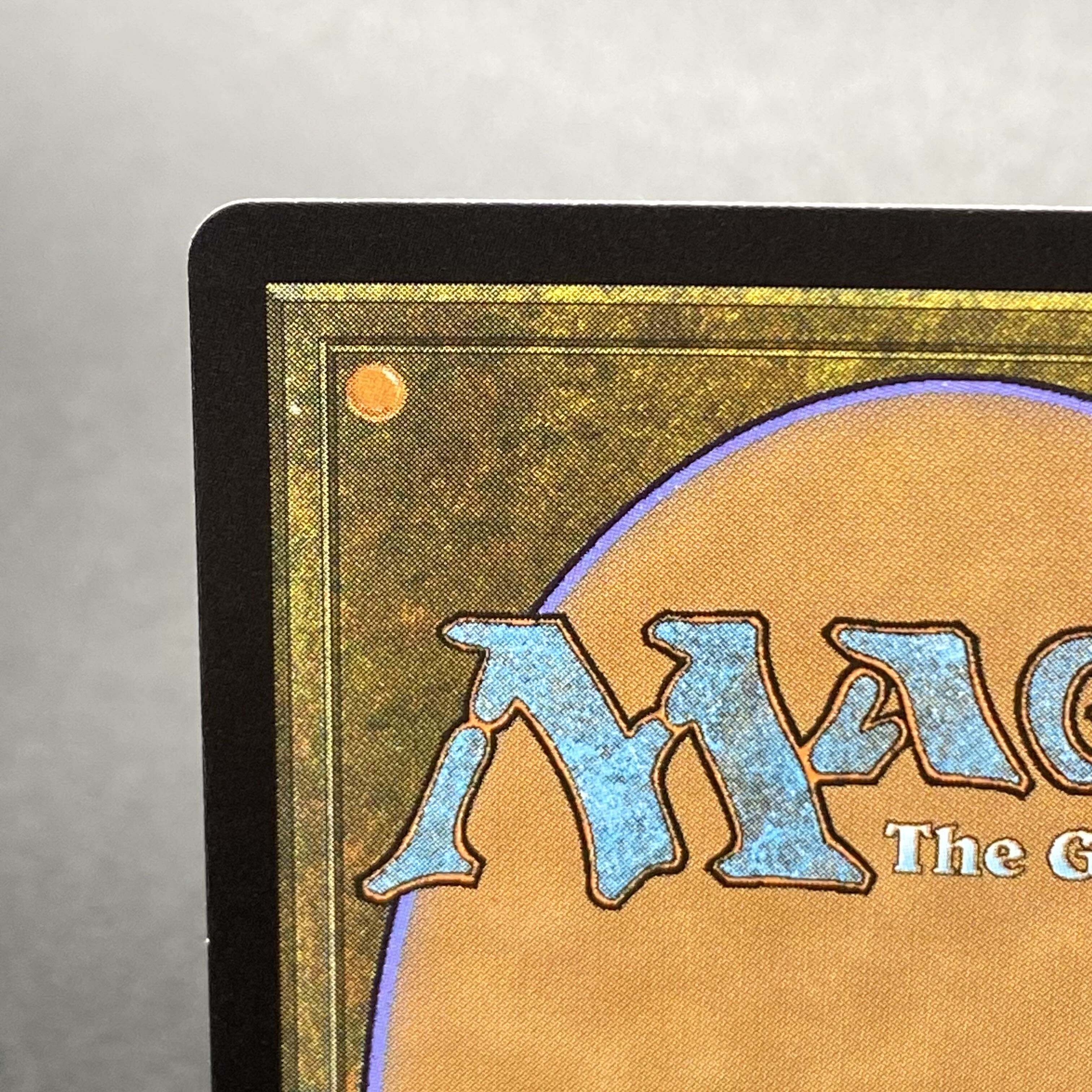 Misty Rainforest/misty Rainforest EN F EXP