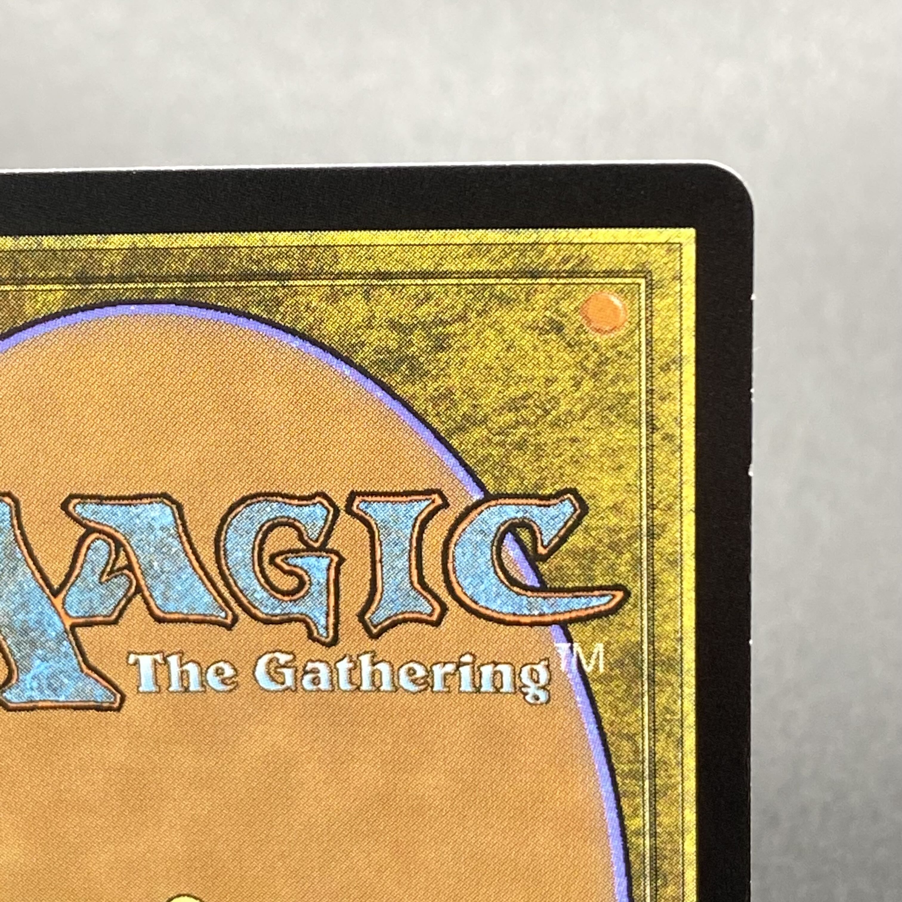 Misty Rainforest/misty Rainforest EN F EXP