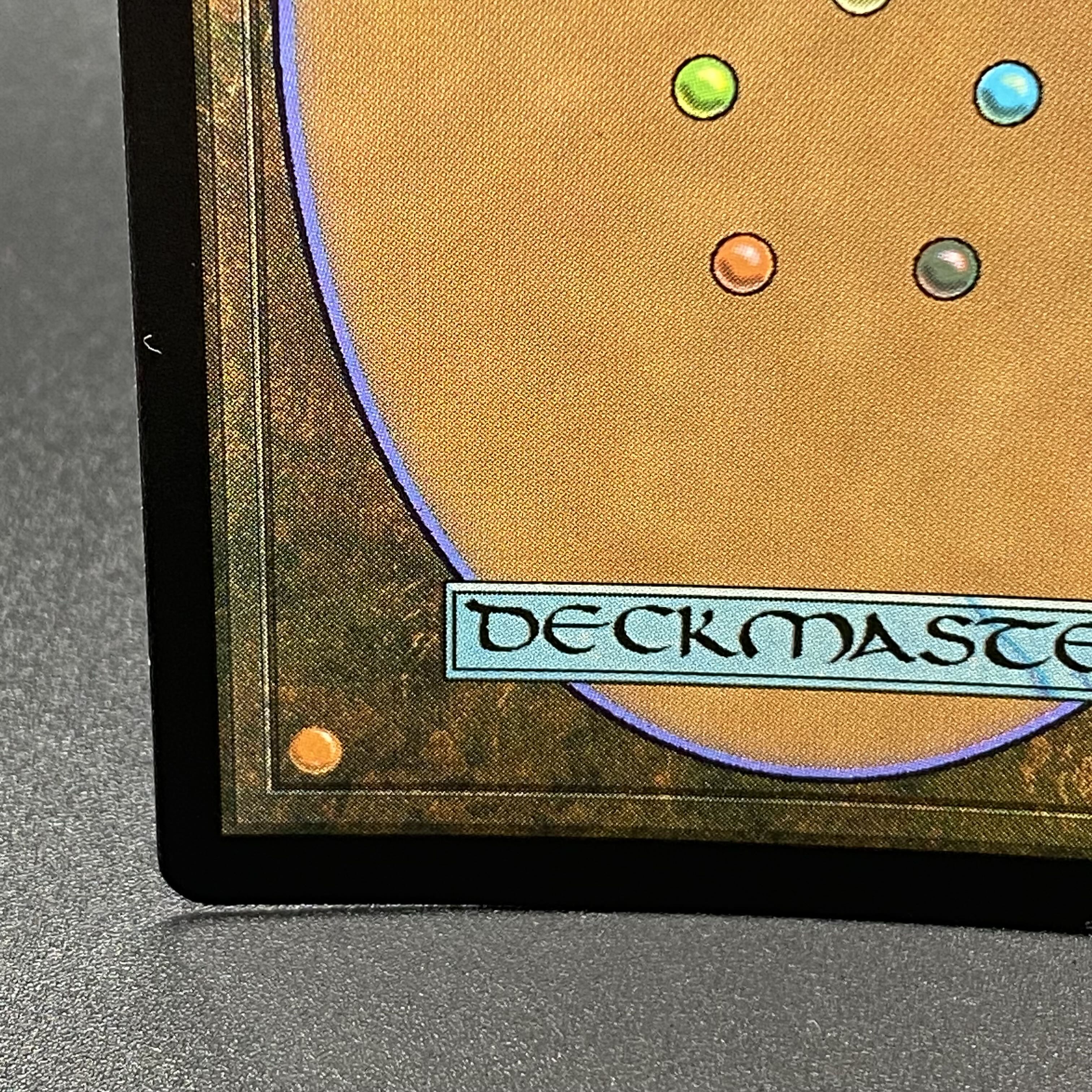 Misty Rainforest/misty Rainforest EN F EXP