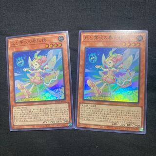 丘と芽吹の春化精 スーパーレア JP016