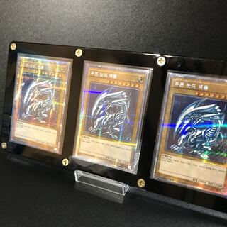 Prissik] 3 Blue-Eyes White Dragons [Genuine outside of Umi / with case for viewing].