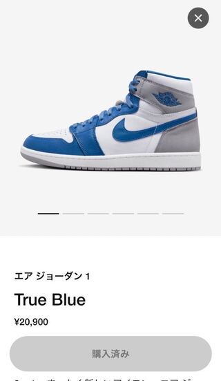 Nike Air Jordan 1 High OG "True Snubbull" True Snubbull/Ho Wight/Cement Grey DZ5485-410 28.5cm