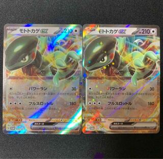 Set of 2] Motto lizard ex 009/sv-p