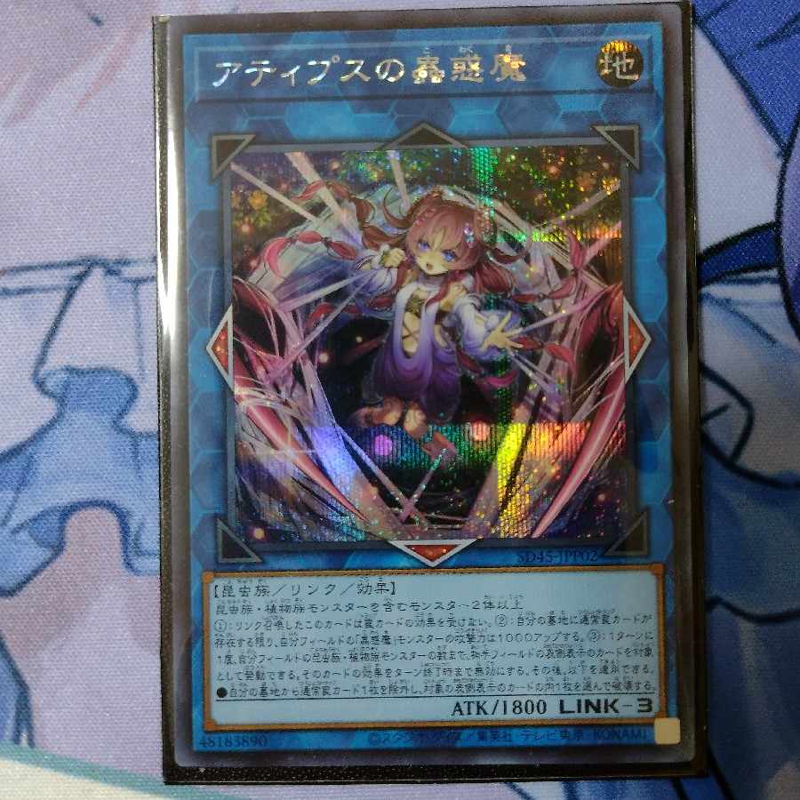 アティプスの蟲惑魔　シークレット