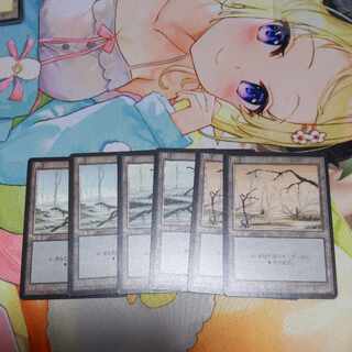 Swamp 4 edition black frame set of 6 6枚