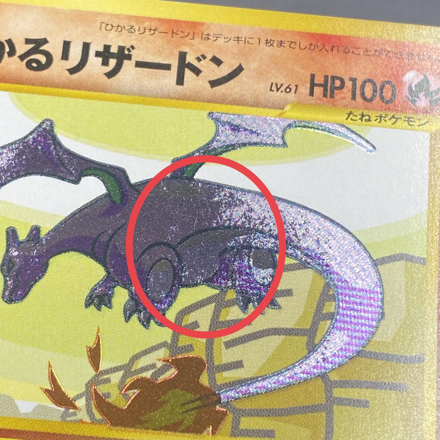 Hikaru Charizard Yami and to the light