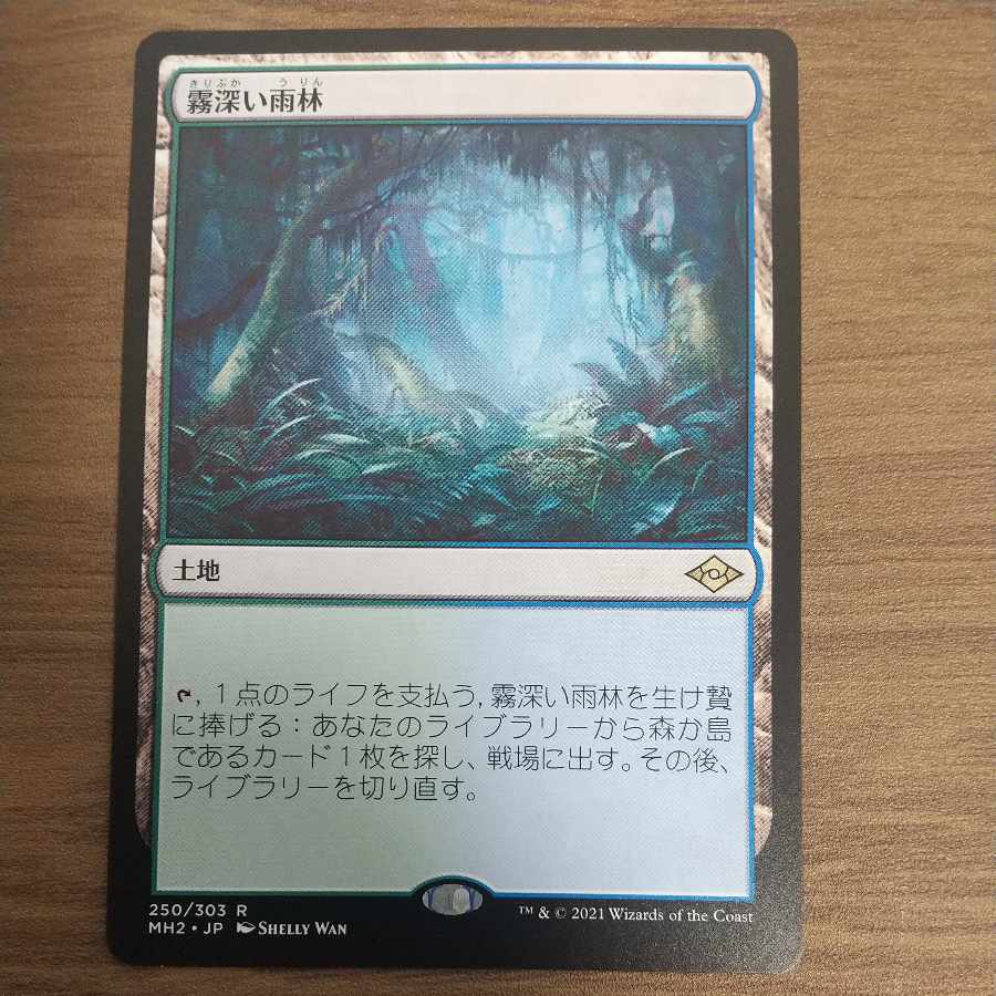 Misty Rainforest Rare 250/303