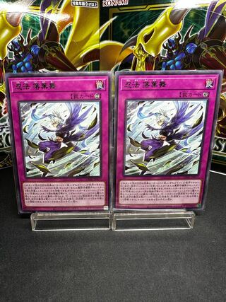 Ninpo Ochiba Mai rare JP077