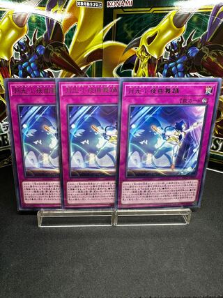 月光小夜曲舞踊 レア JP049