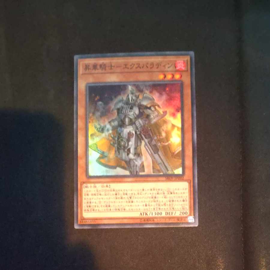 【成約済】昇華騎士-エクスパラディン スーパーレア JP002✕2 【木林堂】