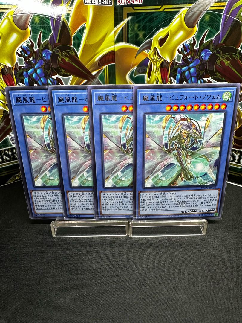 TSUCHIYAMA - Beaufort Nowhem Rare JP047