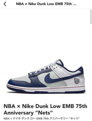 NBA x Nike Dunk Low EMB 75th Anniversary Nets 28cm