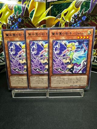 Surprise Paradise Assistant <Delia> Rare JP020