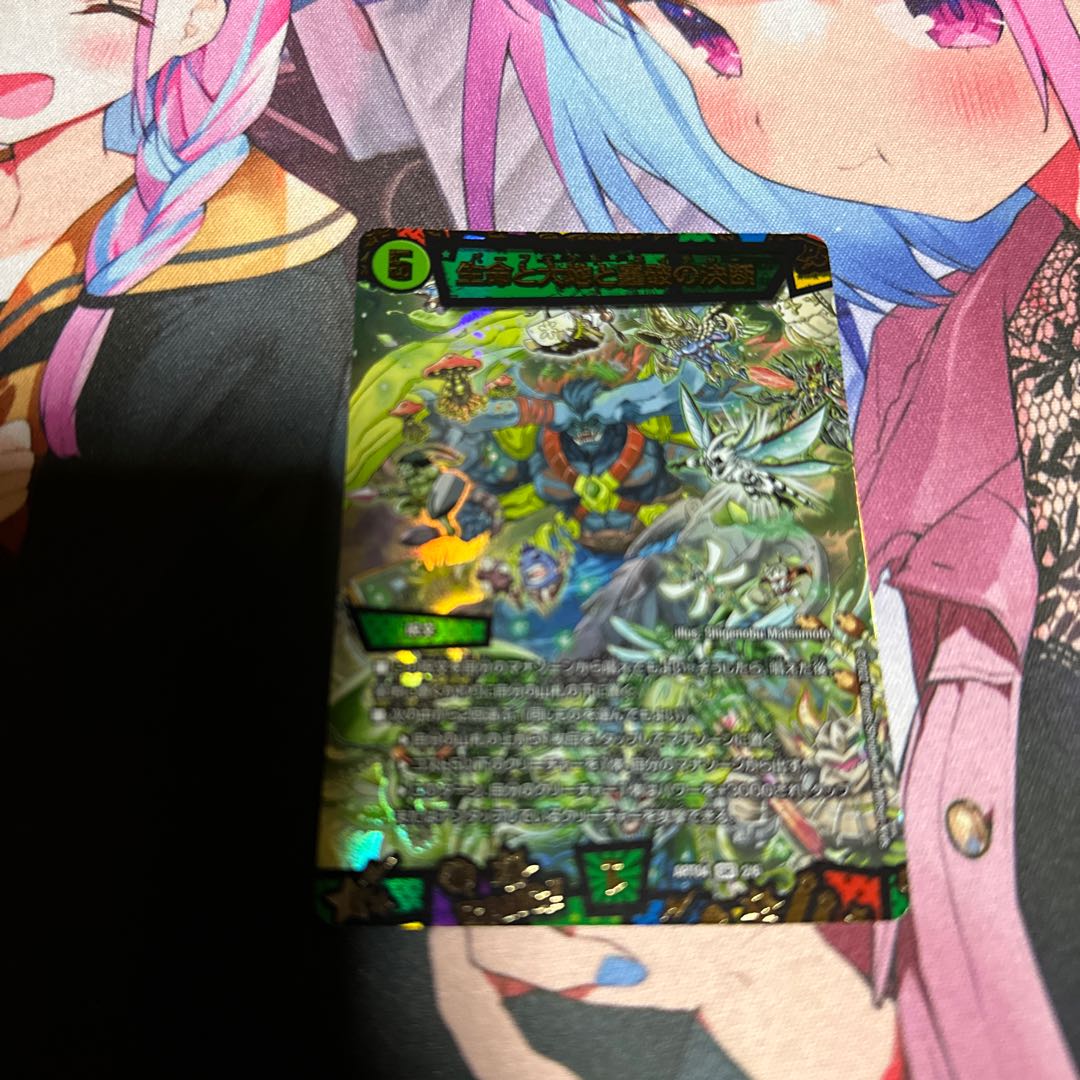 Life Life, Earth and Roaring Decision SR S12/S12