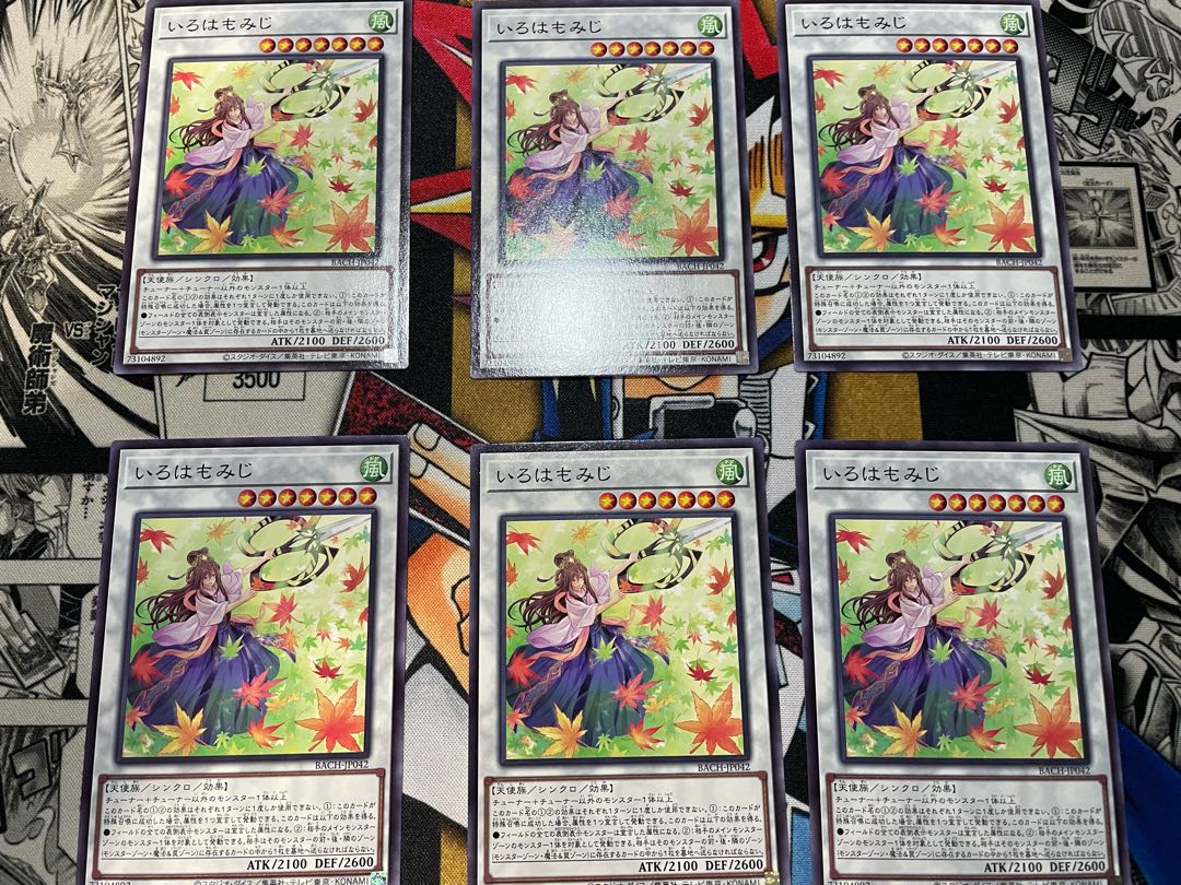 Iroha momiji normal JP042