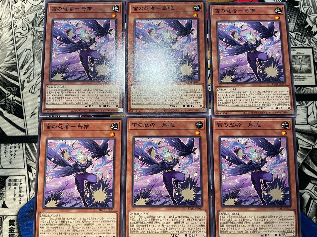 Ninja in the air - bird mail Normal JP015