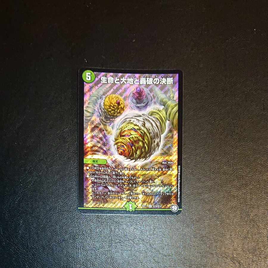 Life Life, Earth and the Decision to Roar and Break SR S12/S12 [1387].