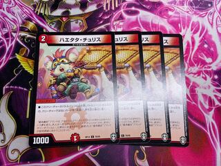 Haetata Chu Squirrel C 78/95