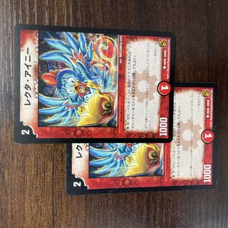 Lecter Ainy (normal) C 50/55