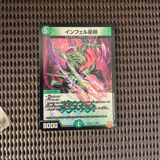 Infelix star tree (species of sedge, Infelix infelix)