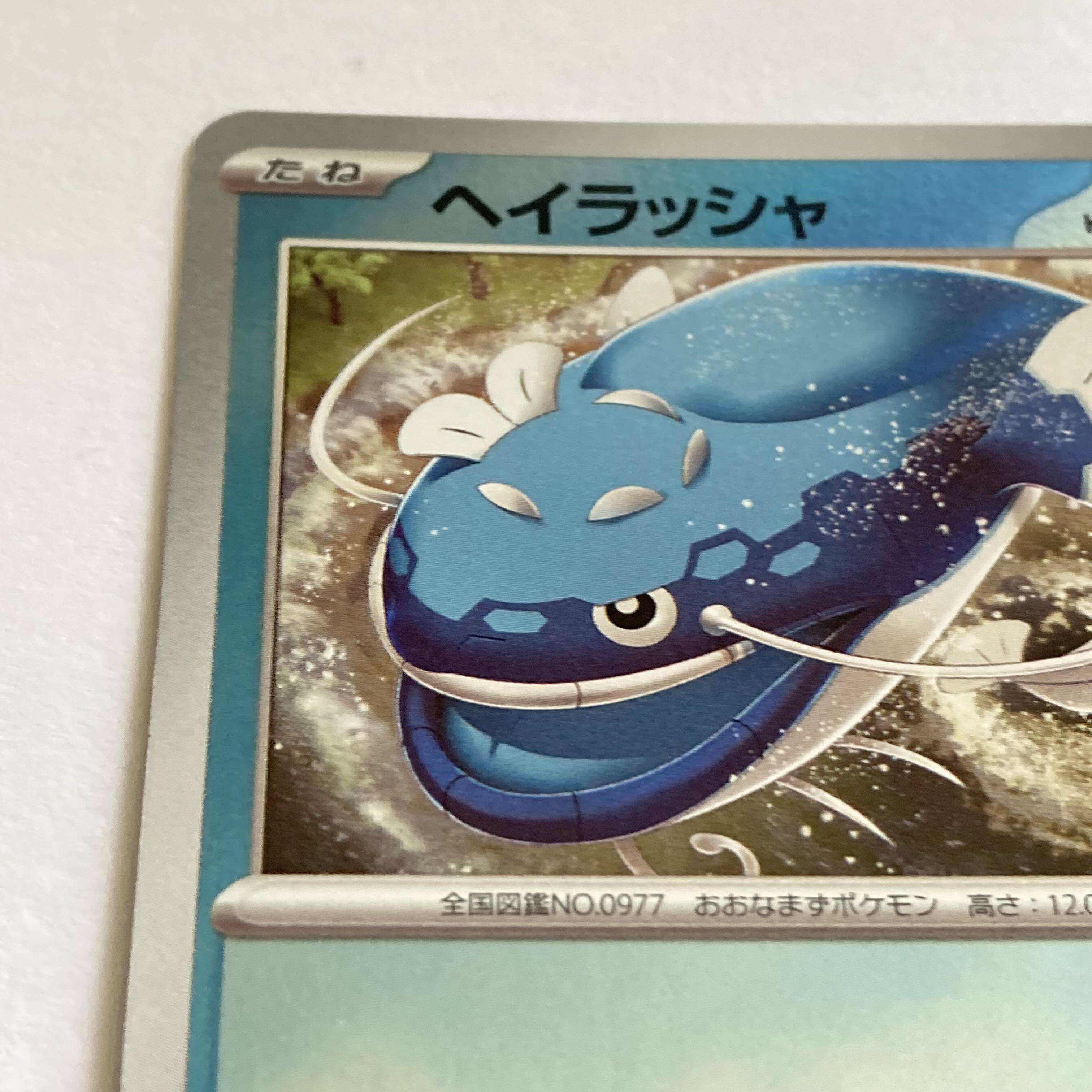 Wanider & Hayrusha & Quespatola Promo 《P-41》