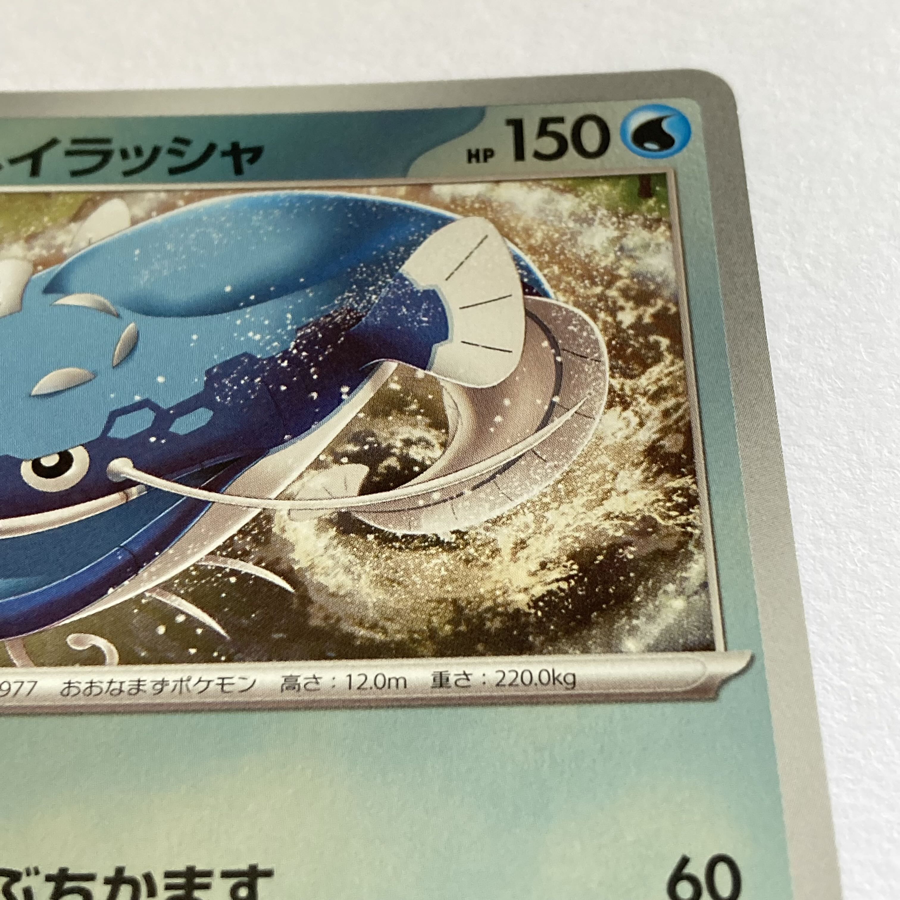 Wanider & Hayrusha & Quespatola Promo 《P-41》