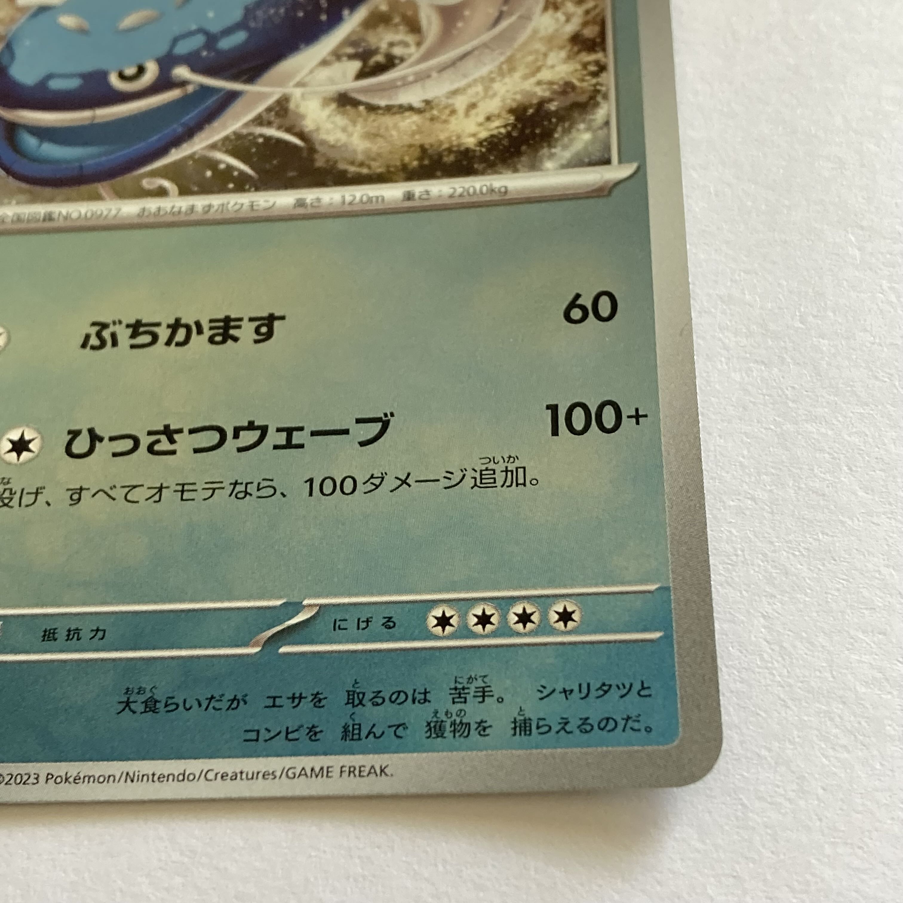 Wanider & Hayrusha & Quespatola Promo 《P-41》