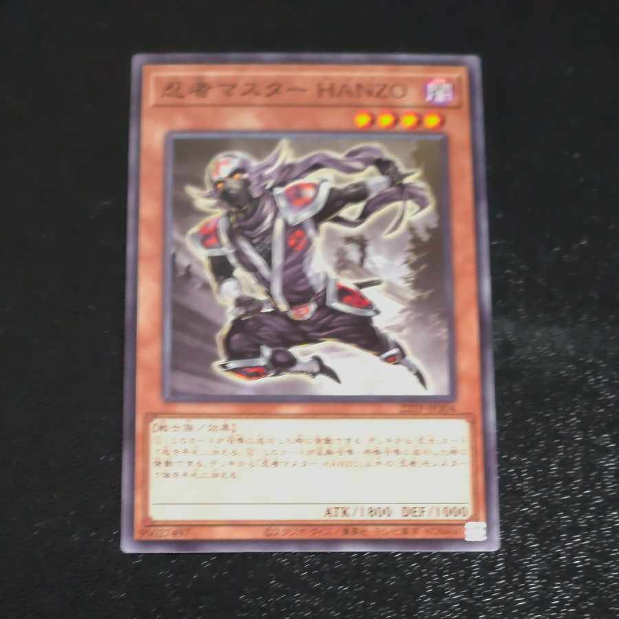 Ninja Grandmaster Hanzo Normal JP306 [Korindo