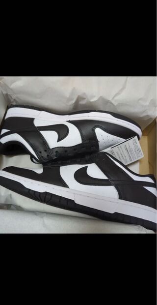 Nike Dunk Low Retro Ho Wight/Black Wight DD1391-100 27.5cm