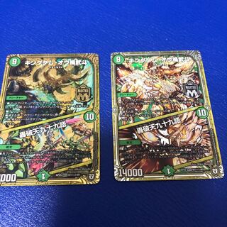 キングダムオウカブト