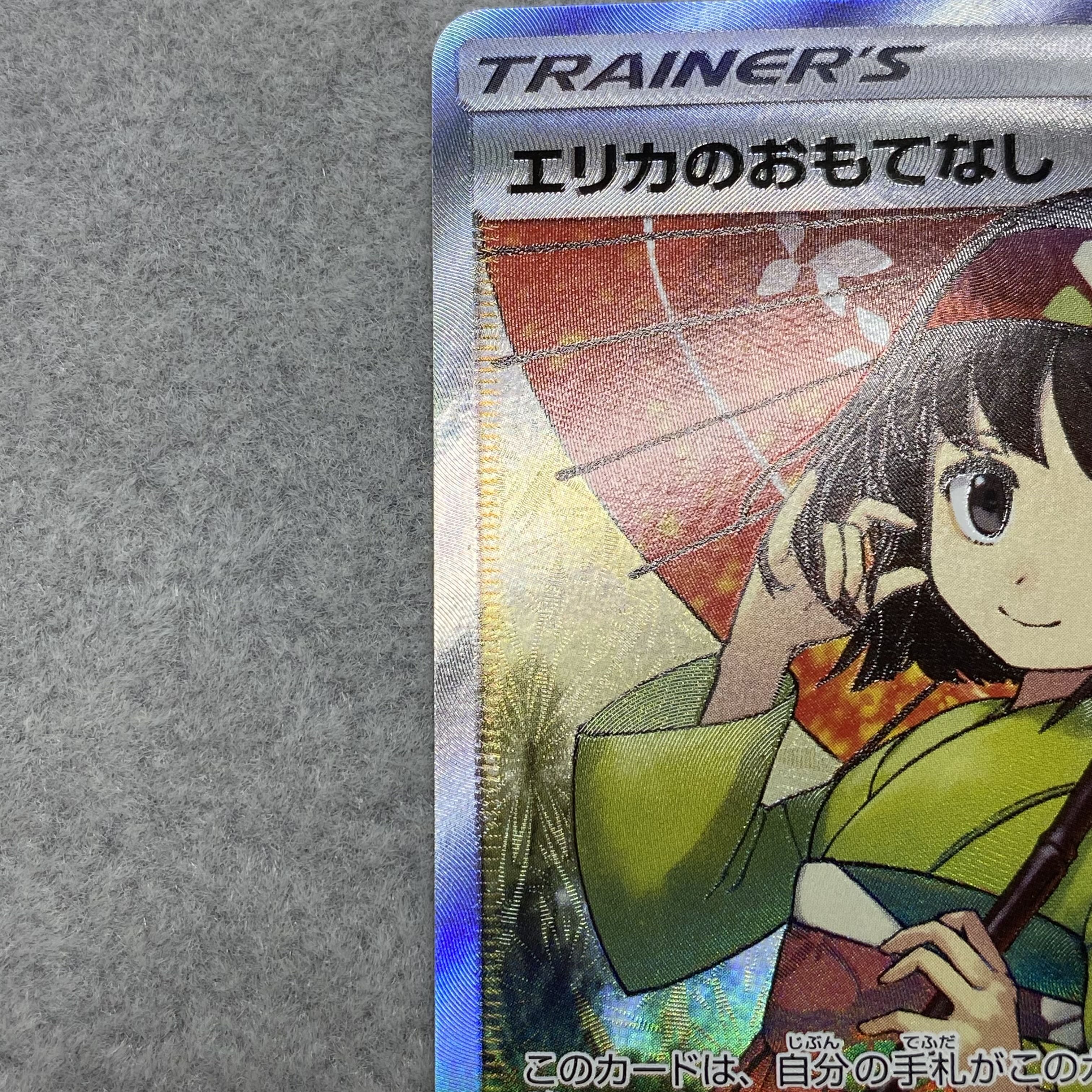 Erika's Hospitality SR 190/173