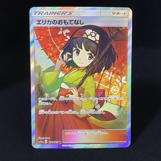 Erika's Hospitality SR 190/173