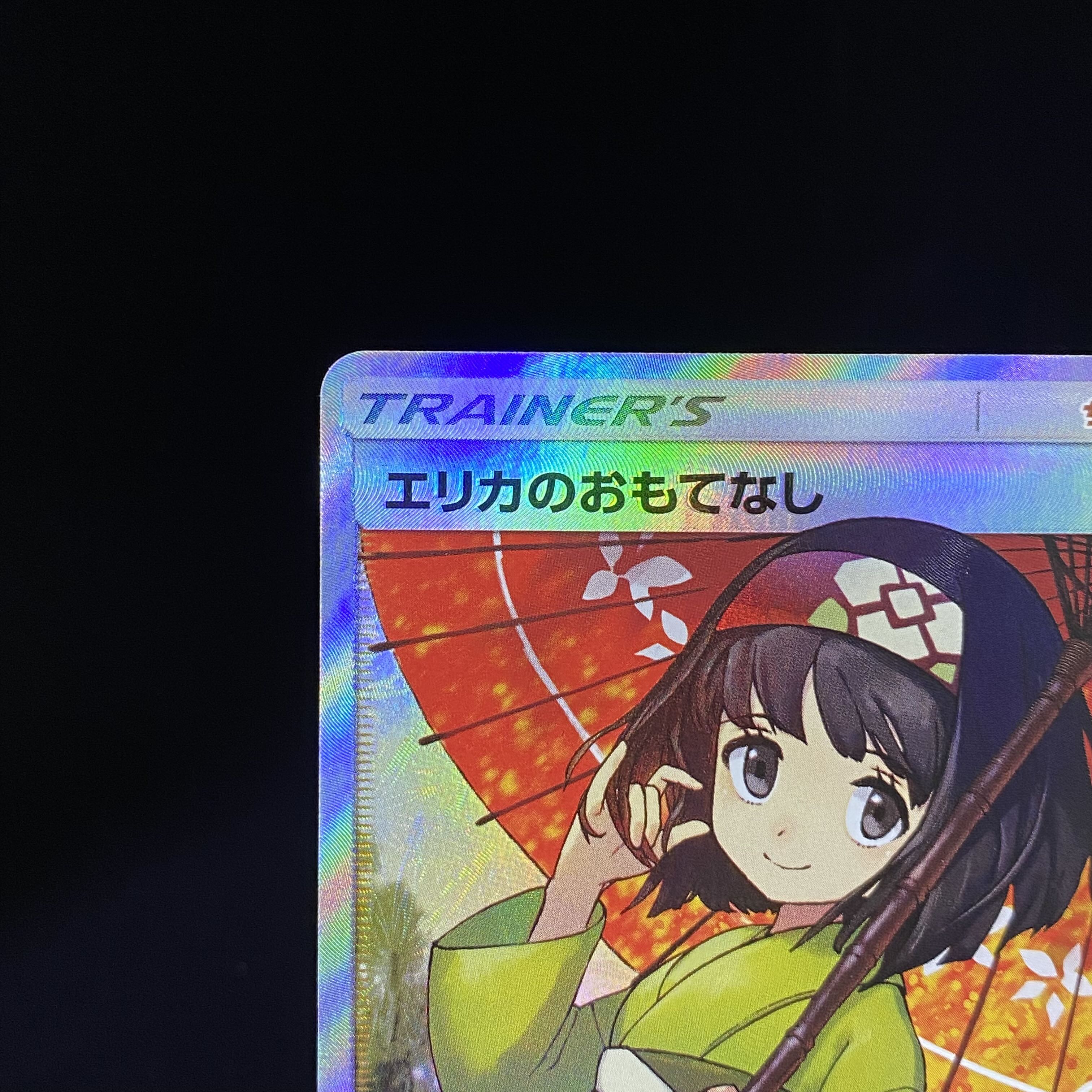 Erika's Hospitality SR 190/173