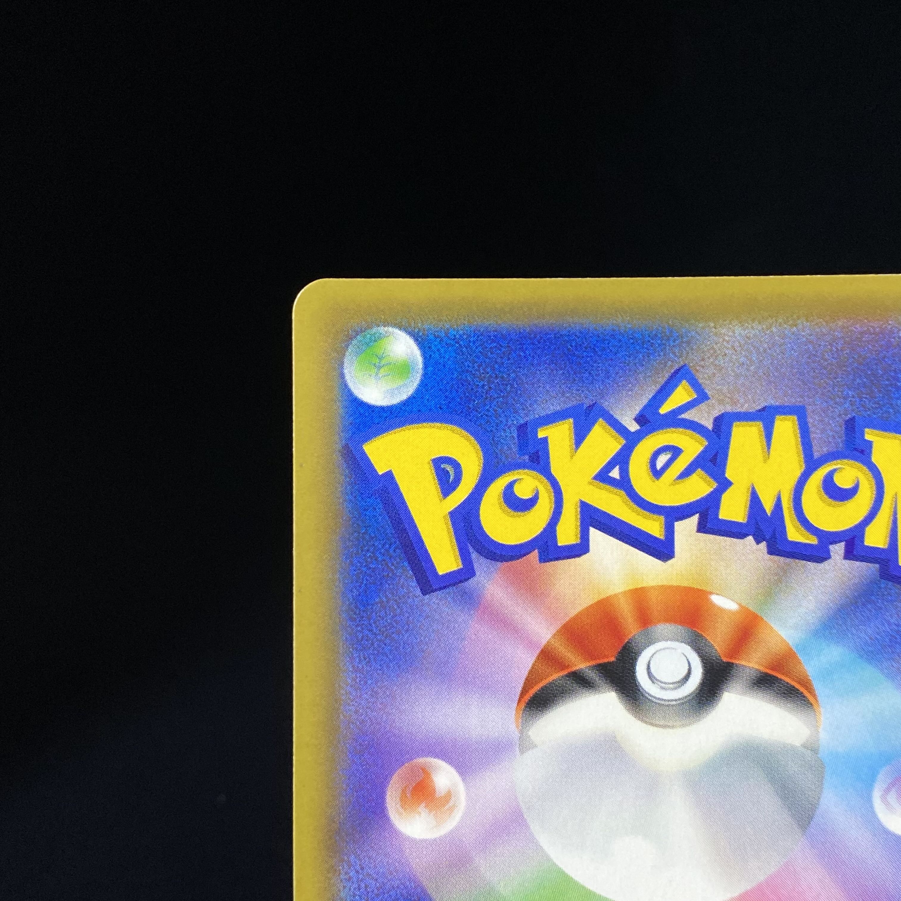 Erika's Hospitality SR 190/173