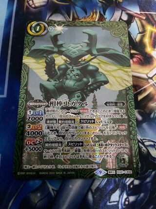 1 partner insect Gataru