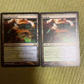 Breeding Pool Rare 240/249