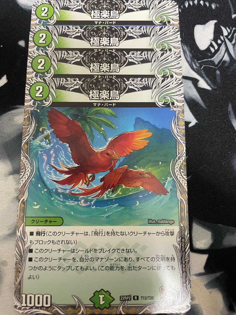 Birds of Paradise (Black Treasure) R T12/T20