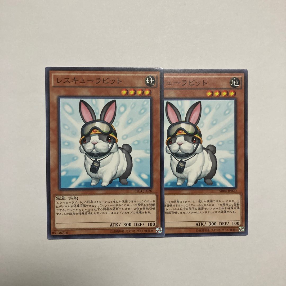 Rescue Rabbit Normal JP020