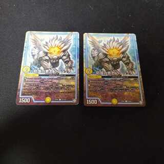 防護の意志 ランジェス C 2枚 2枚