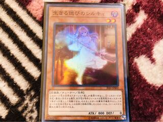 生きる偲びのシルキィ